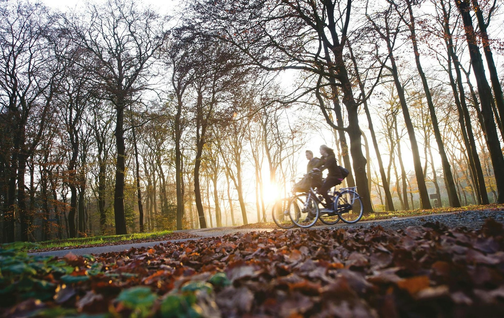 De Hoge Veluwe Quelle NBTC Klein