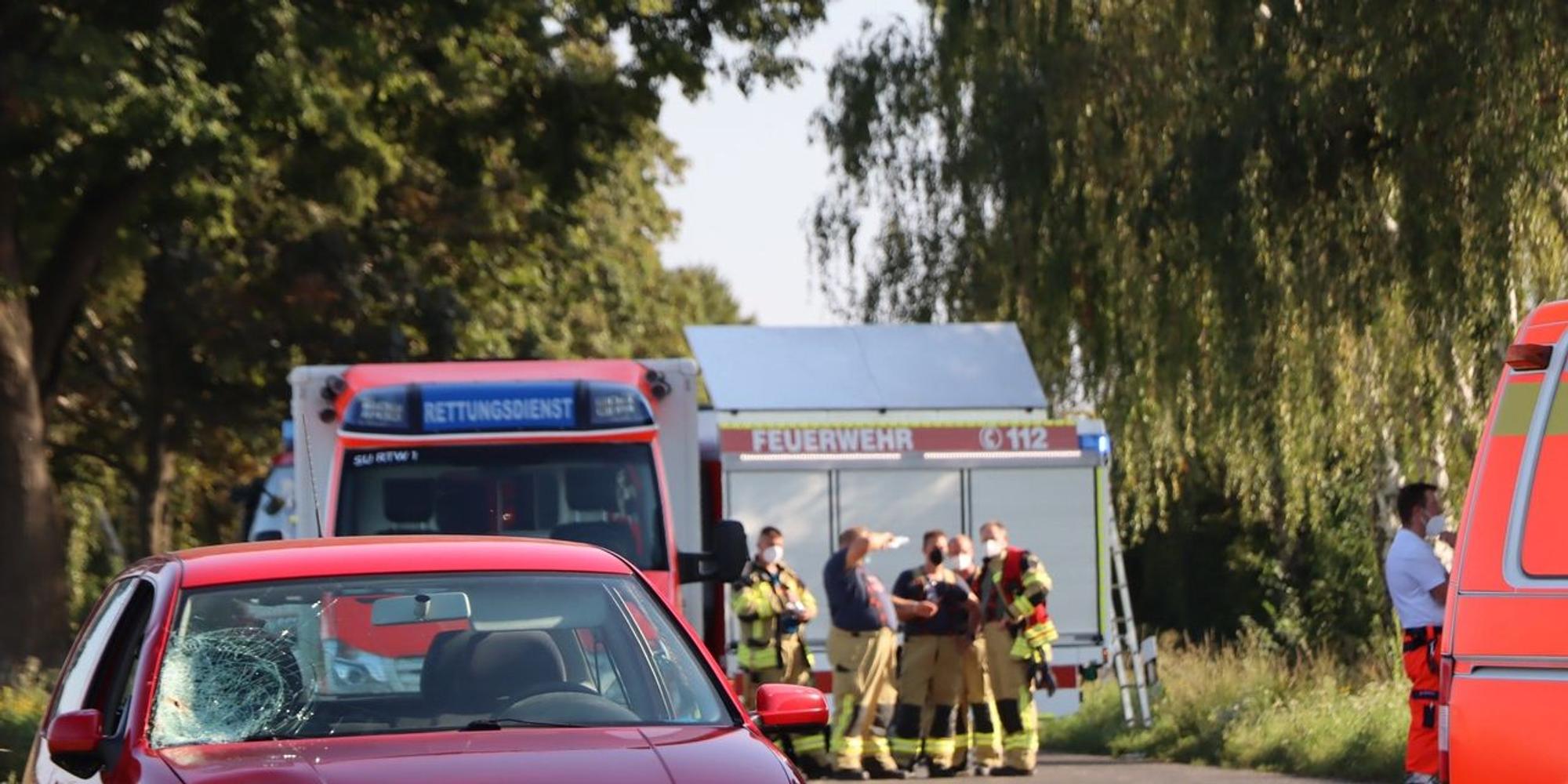 Neuer Inhalt