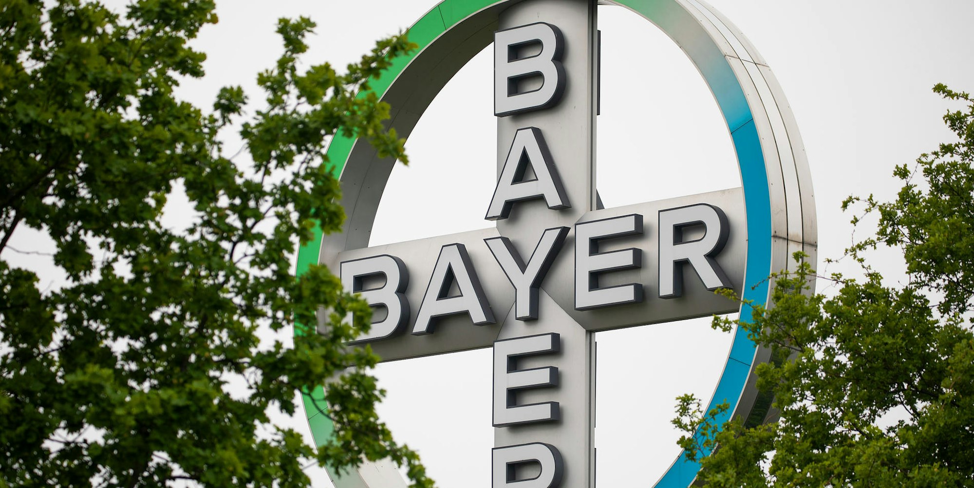 5FA18400ADEB9EB6 (1)