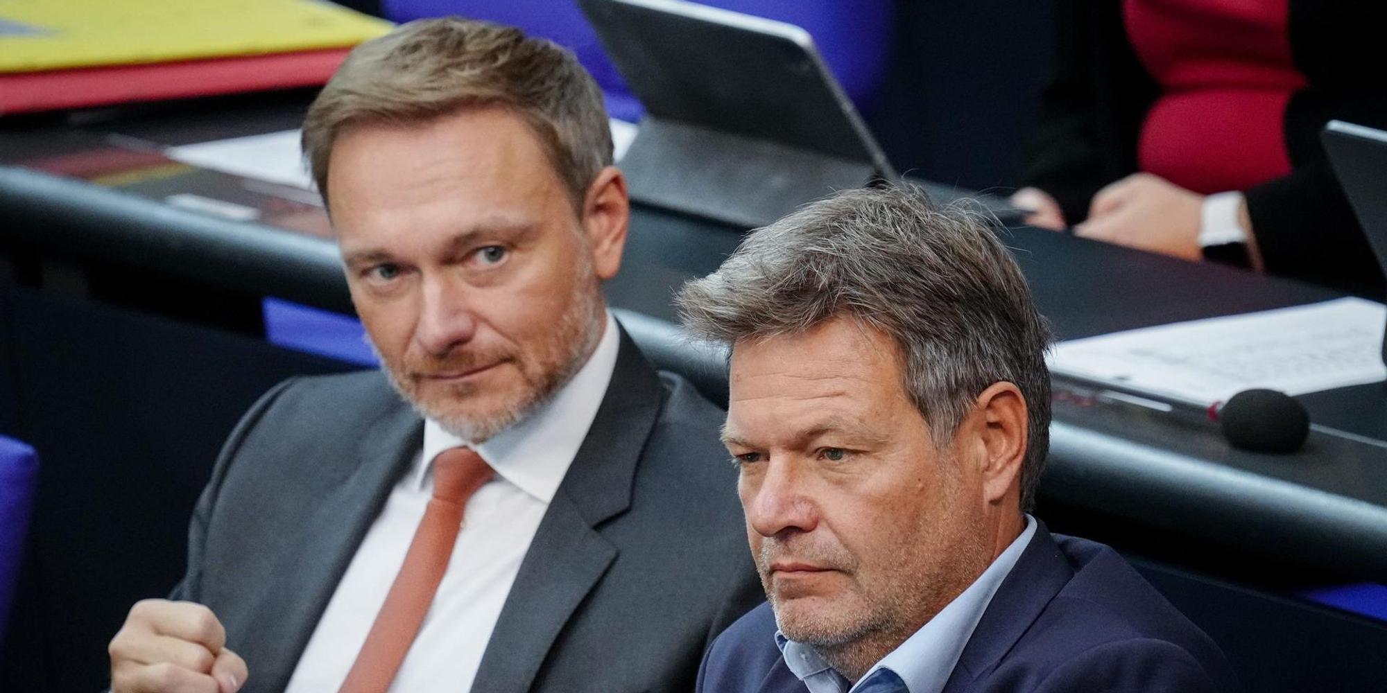 Lindner habeck dpa
