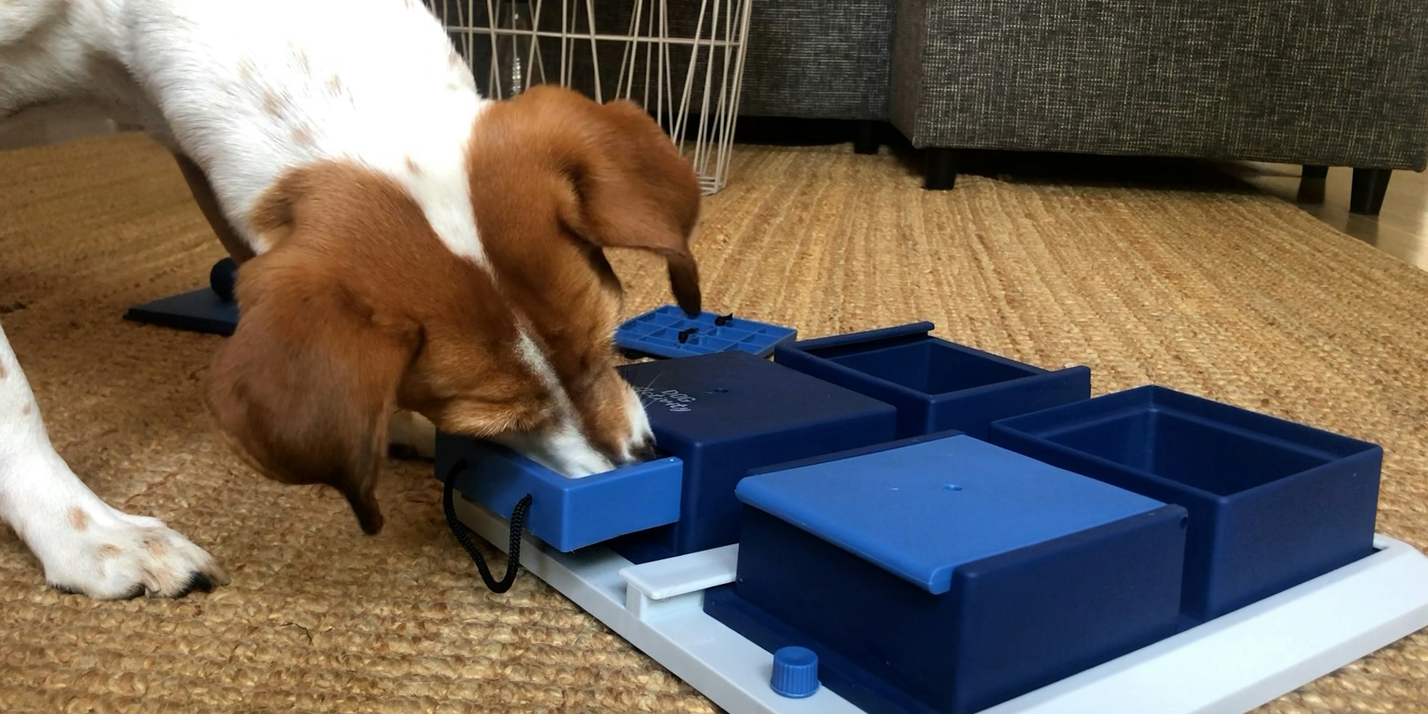 IMG_0364.MOV.00_00_22_24.Standbild001