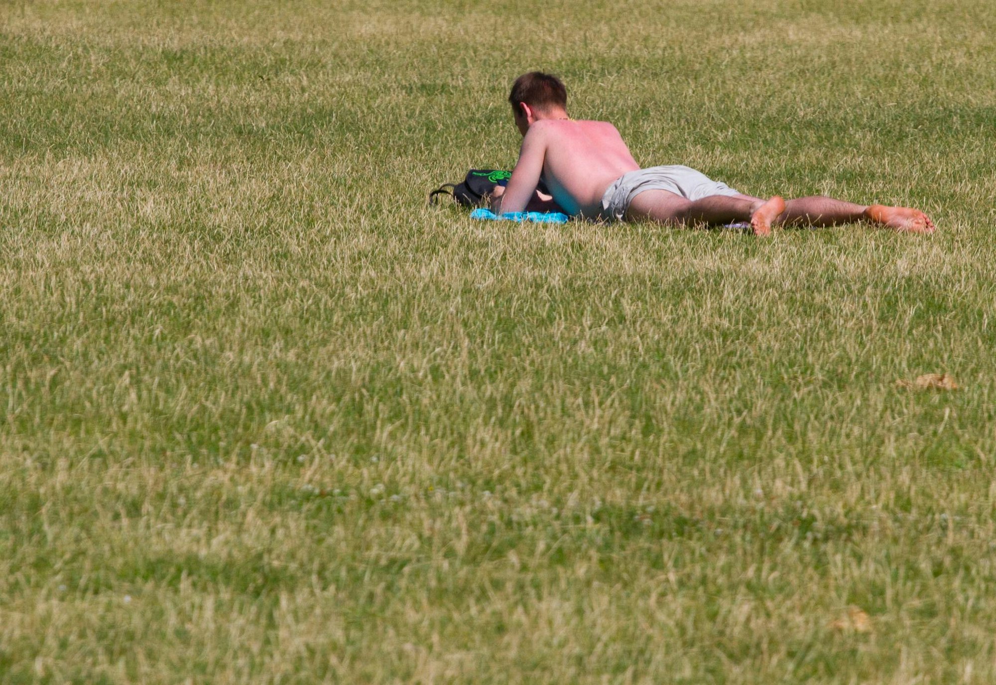 Mann sonnt sich auf einer Wiese