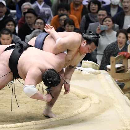 Sumo-Ringer