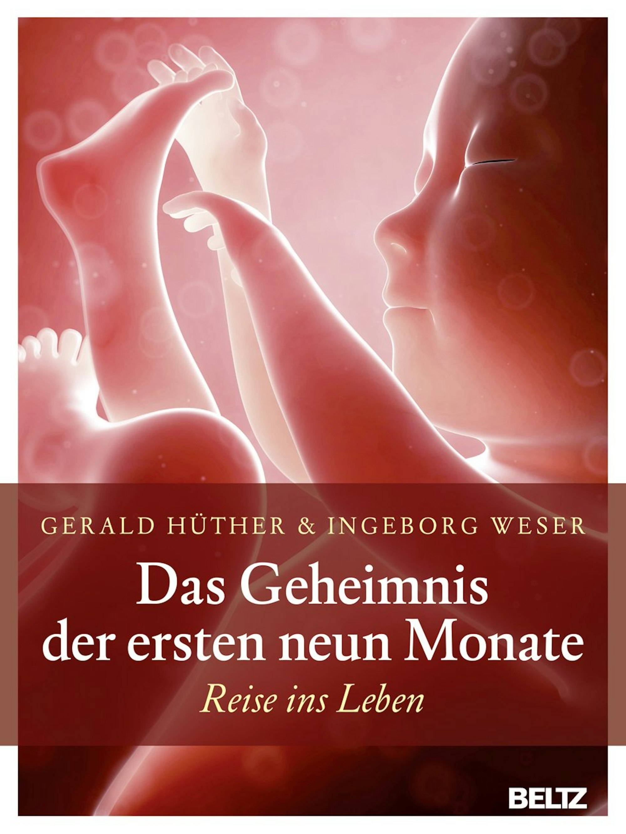 Cover Das Geheimnis der ersten neun Monate