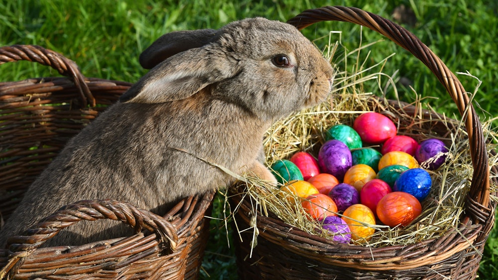Ostern: Alle Termine und Osterdaten 2026 bis 2033 | Kölner Stadt-Anzeiger