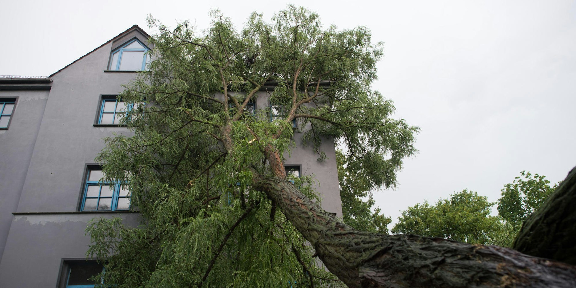 Unwetter Haus Baum Schaden