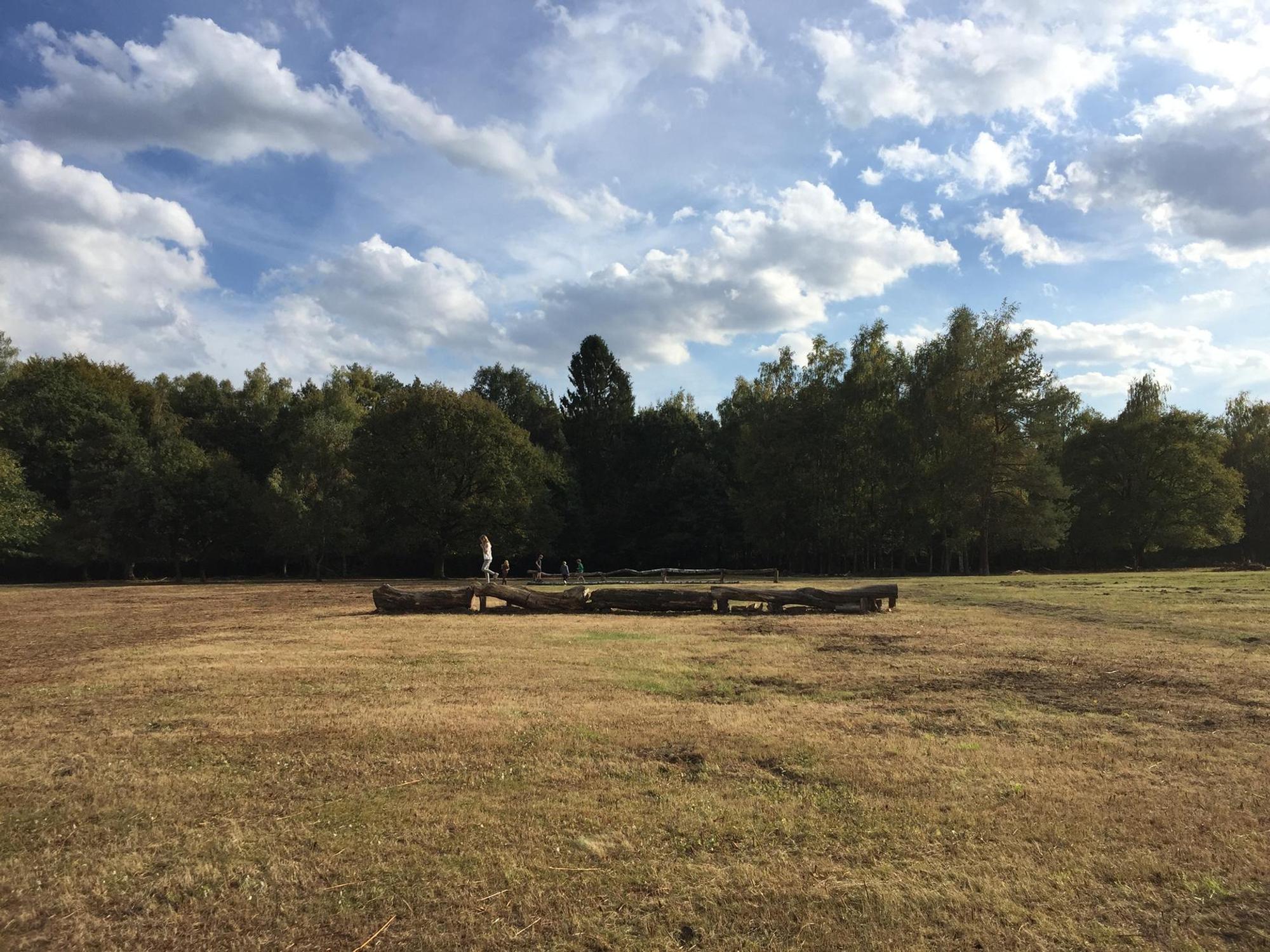 Wahner Heide Reiche 2018-8