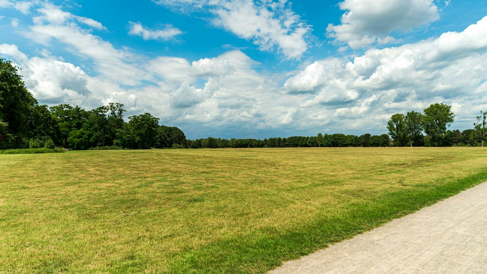 Blick auf eine Wiese