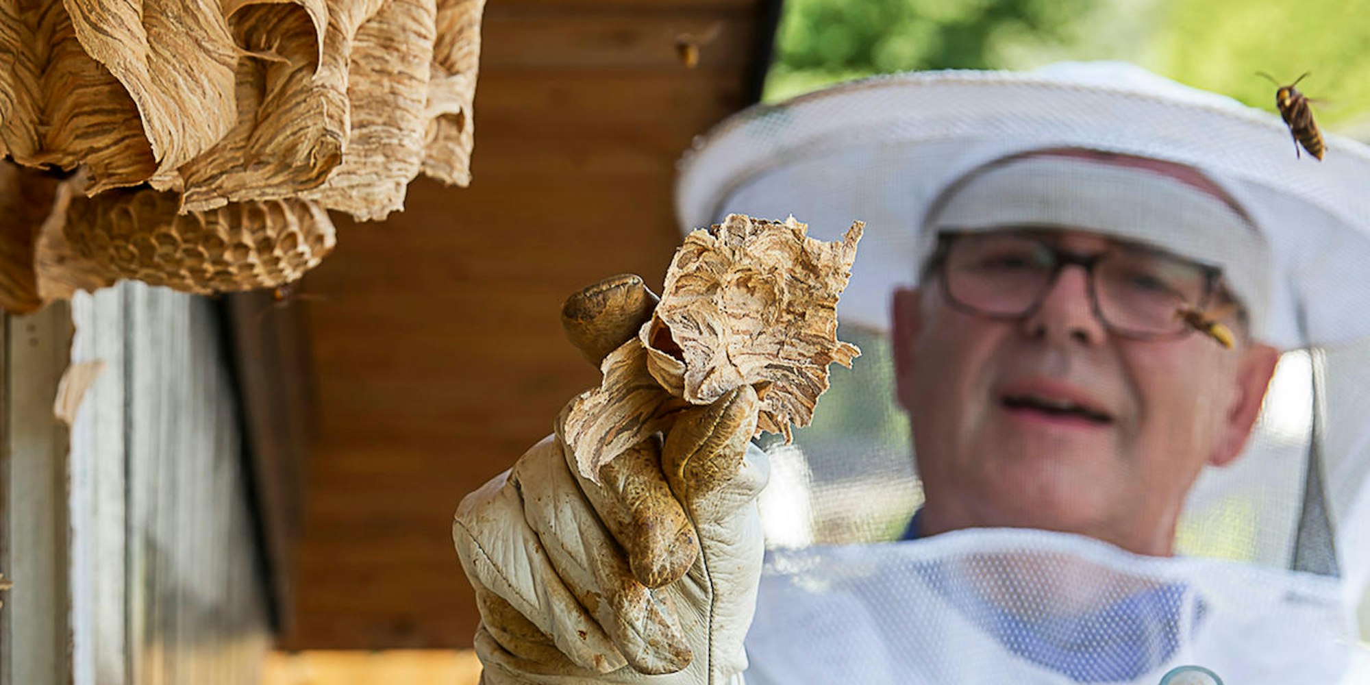 16-PanousiPhoto-IT8B8035