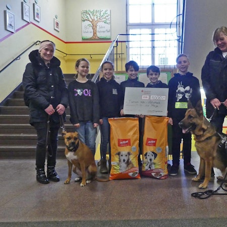 tier0_2019_03_19_MDS-KSTA-2019-03-19-71-145086527