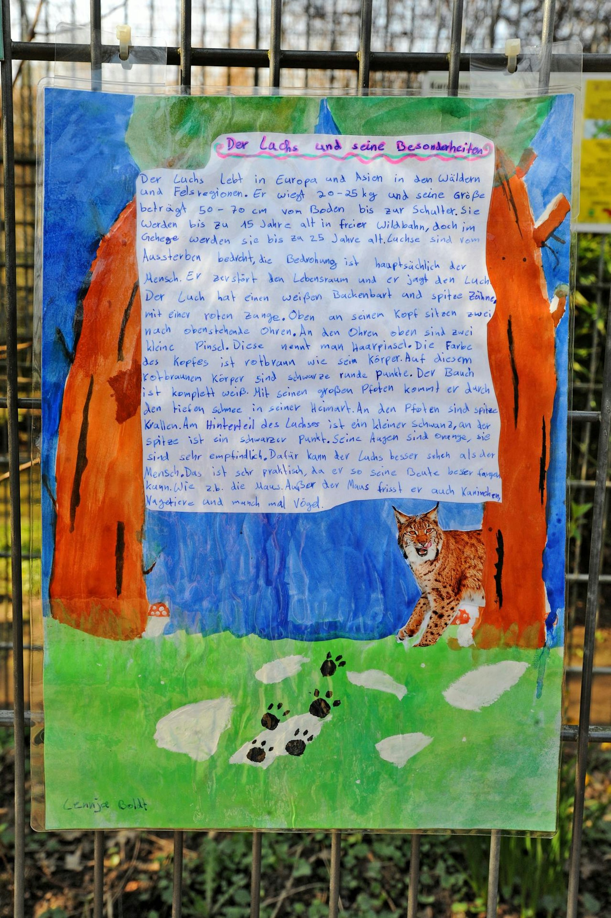 Ausstellung Luchs Lev2