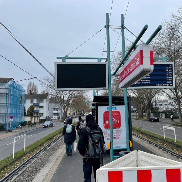 Neuer Inhalt (5)