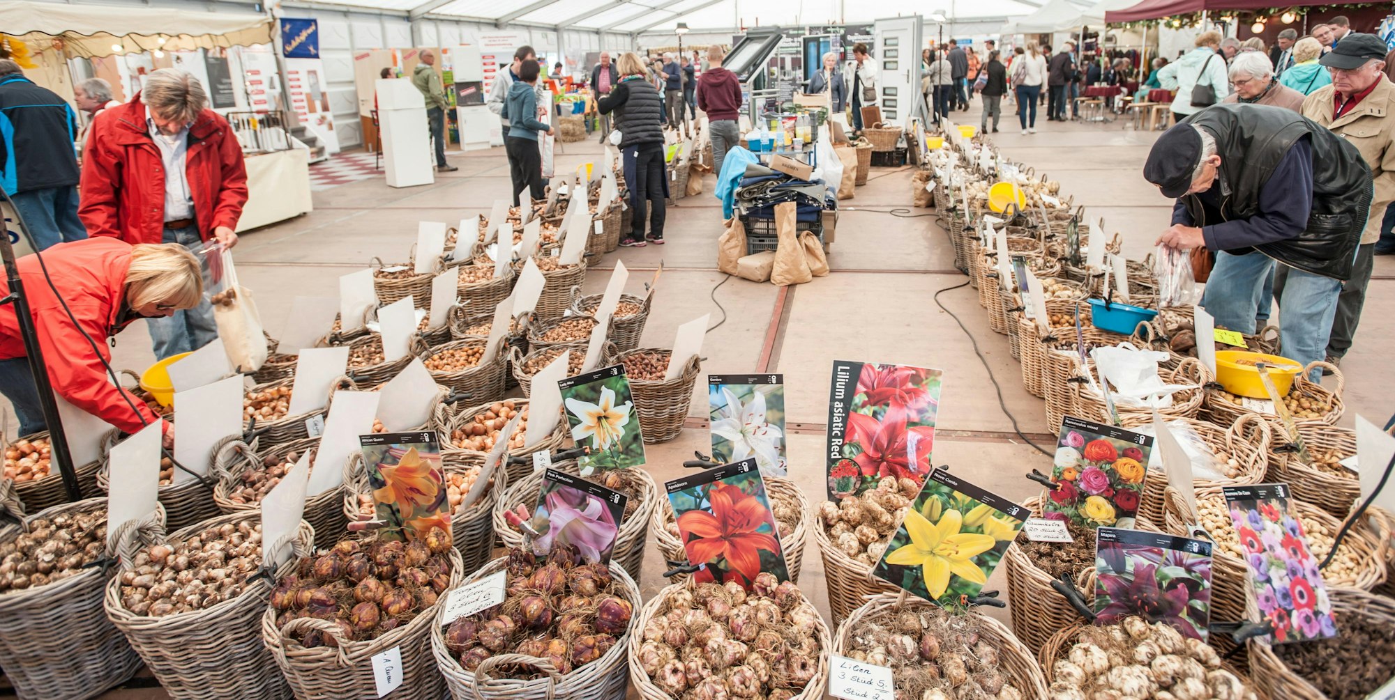 Obstmarkt in Leichlingen (2)