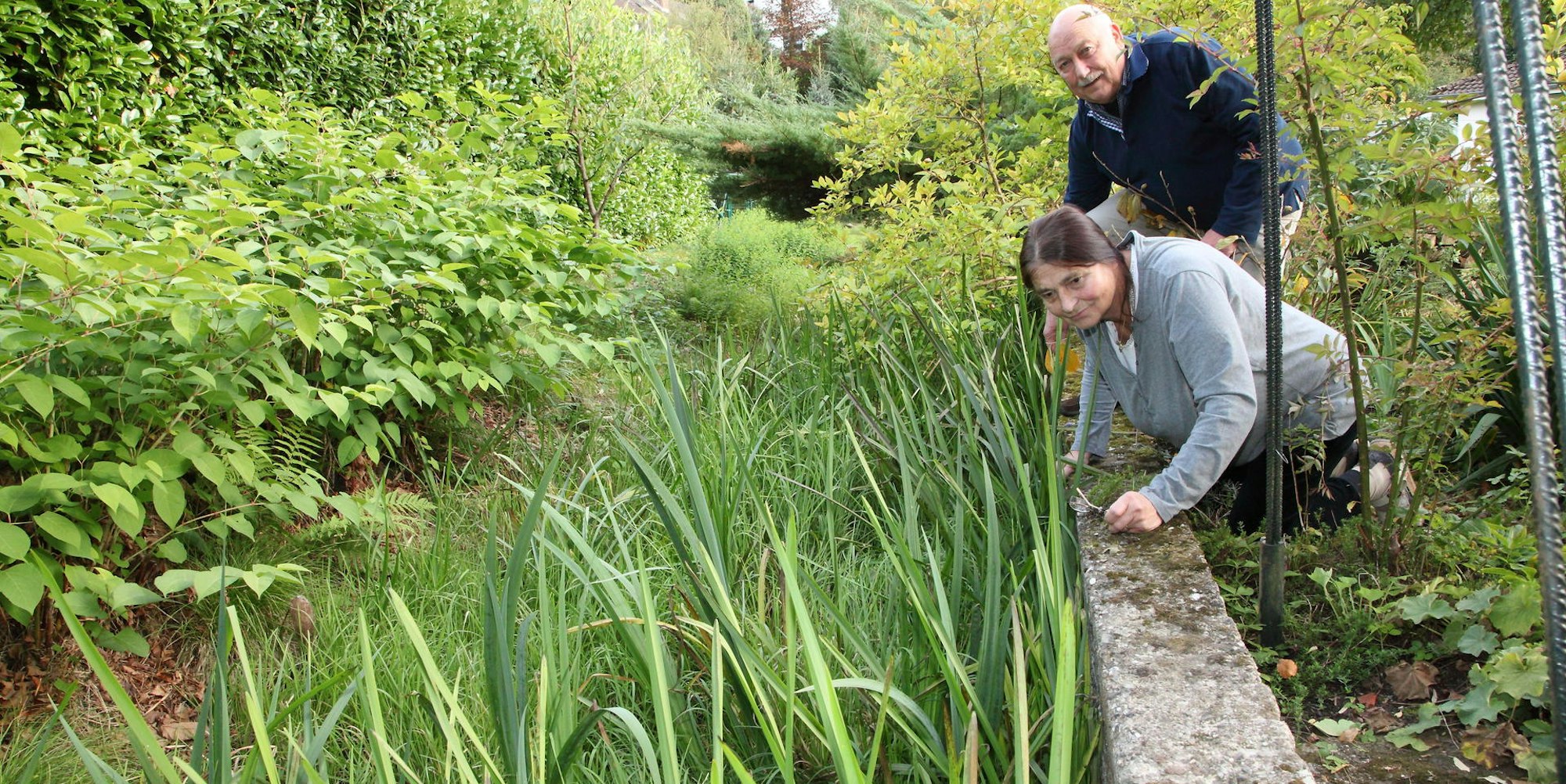 Hammergraben_Toepfer_Roesrath