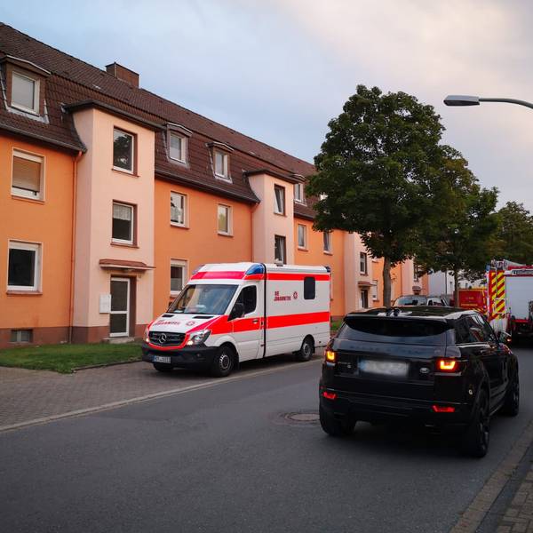 Herne Kobra