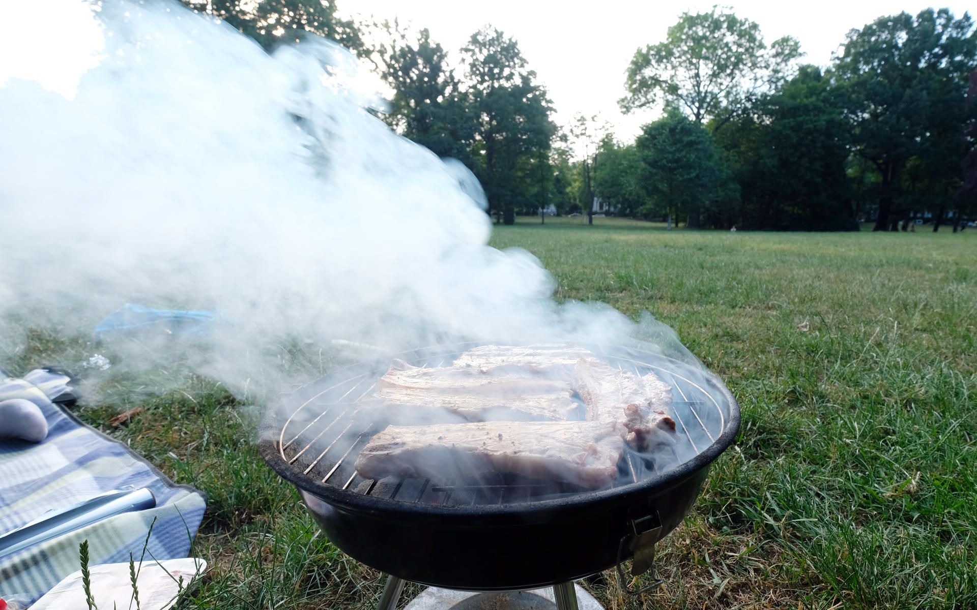 Kohlegrill