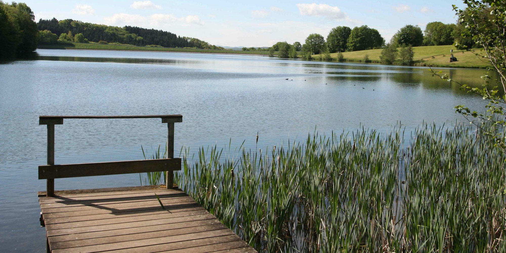 Freilinger See