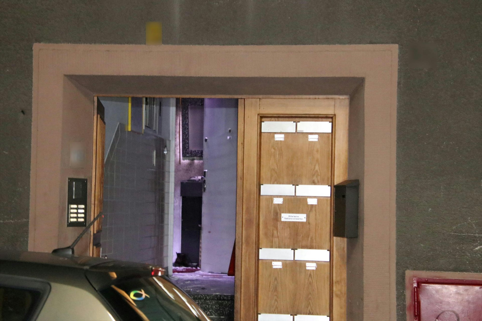 Toter Kalk Jasmin neu