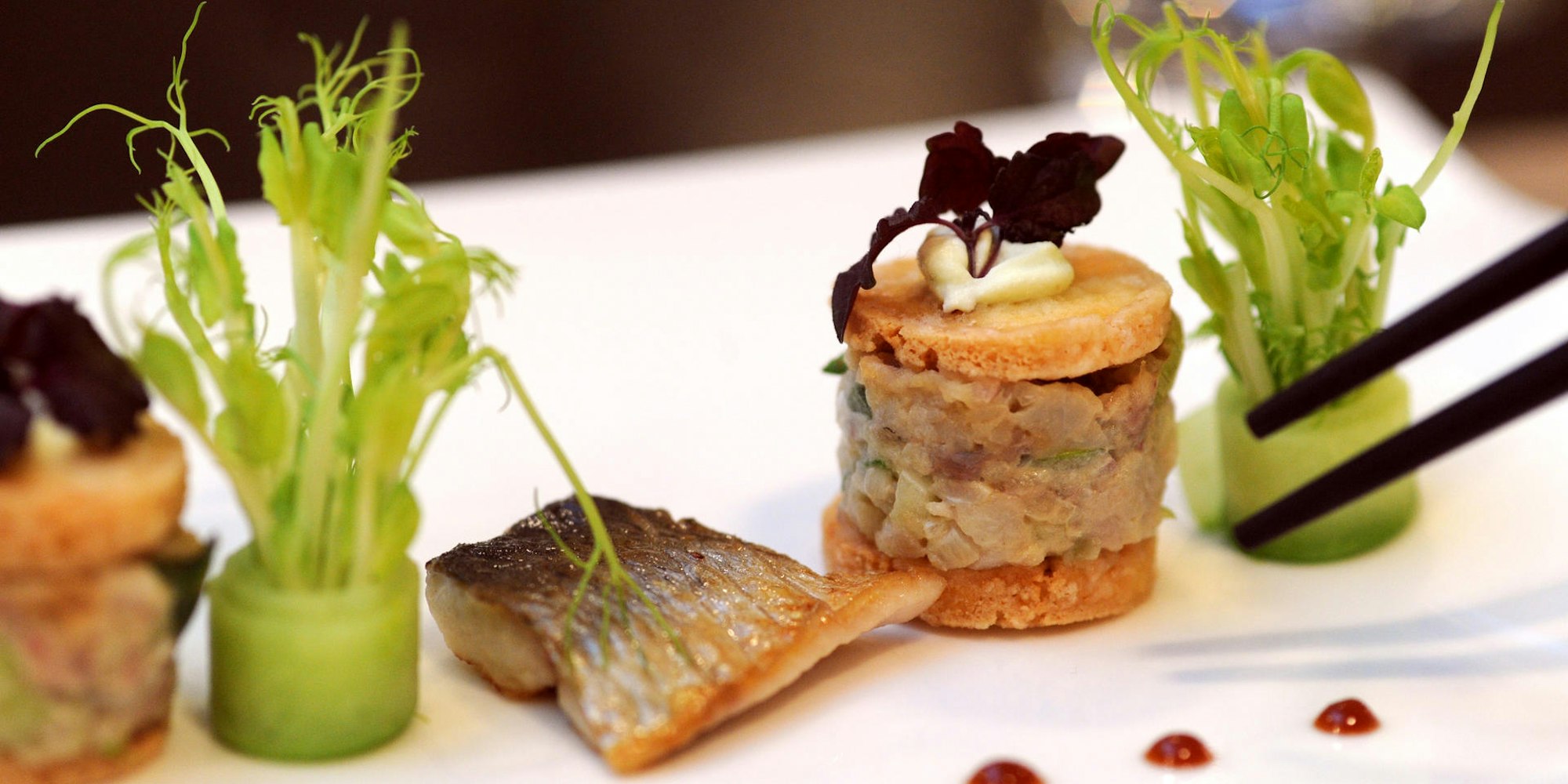 MDS-KSTA-2010-02-17-ma-taku-03a