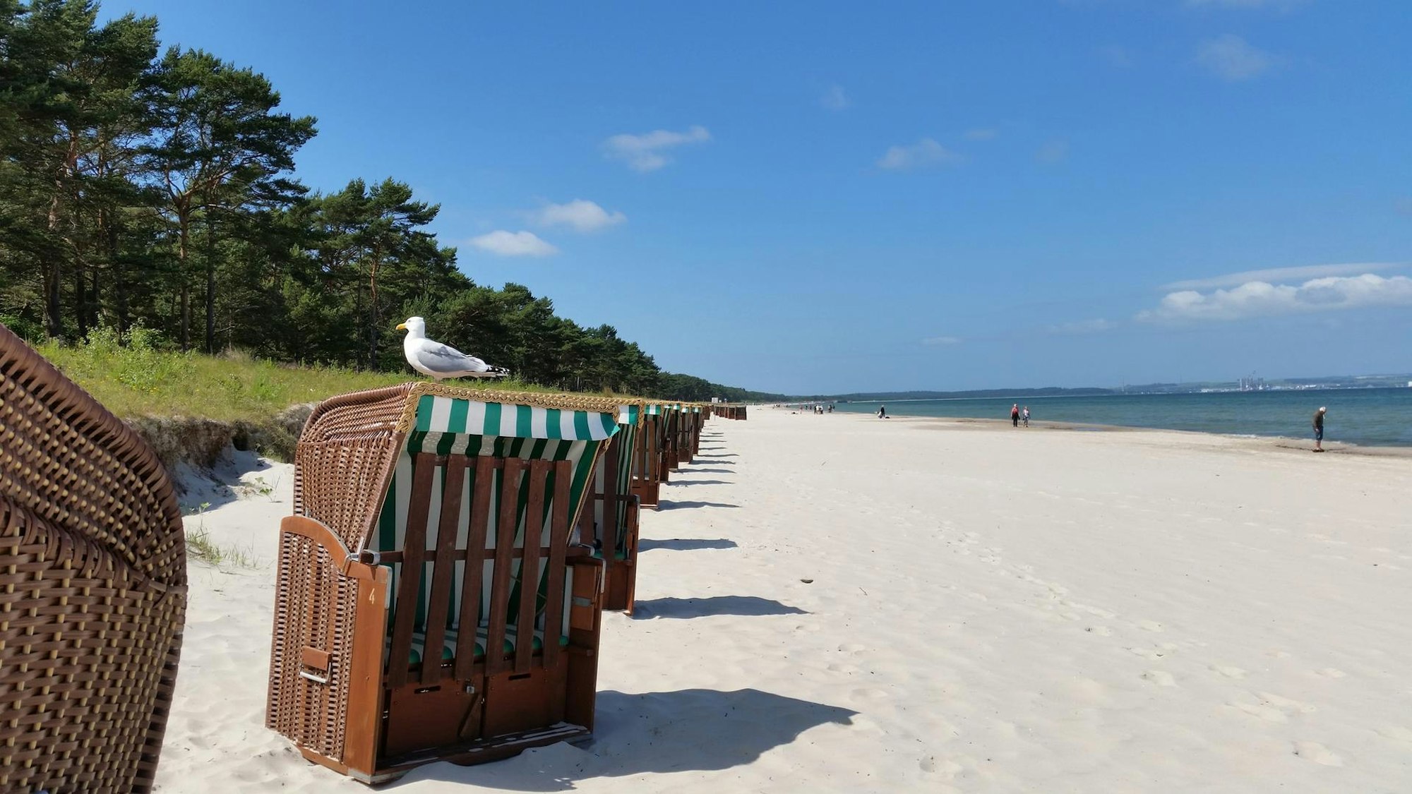 8. Strand von Binz (6)
