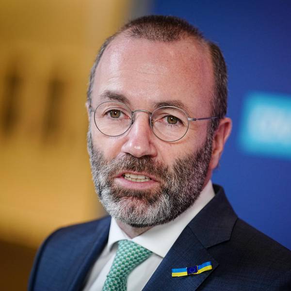 manfred weber waffenforderungen