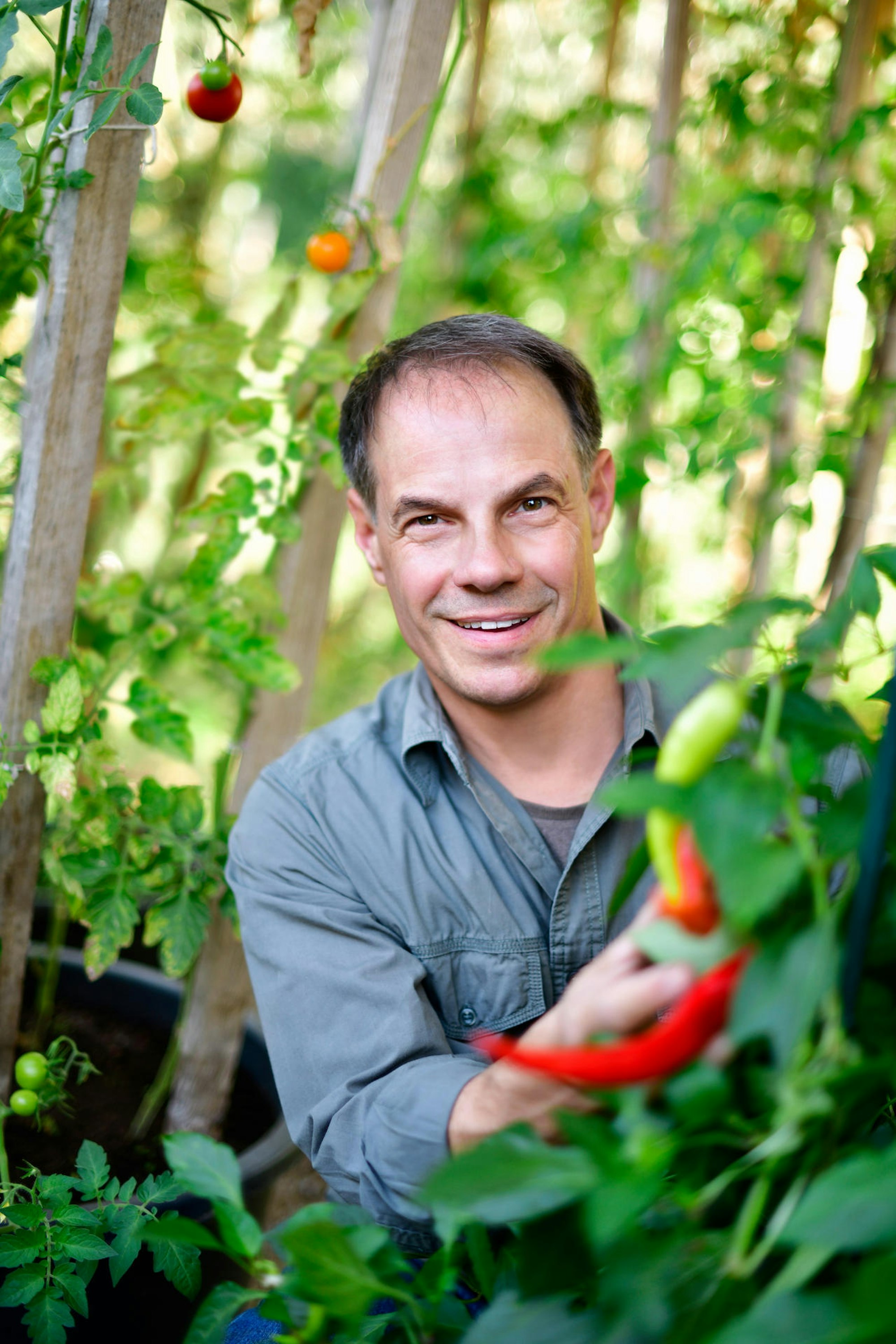 Gemüseanbau JustynaSchwertner