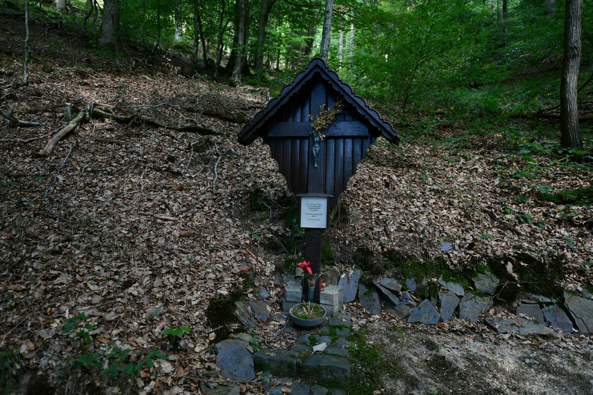 Peter Wohlleben Wanderung Olaf Wull Nickel10