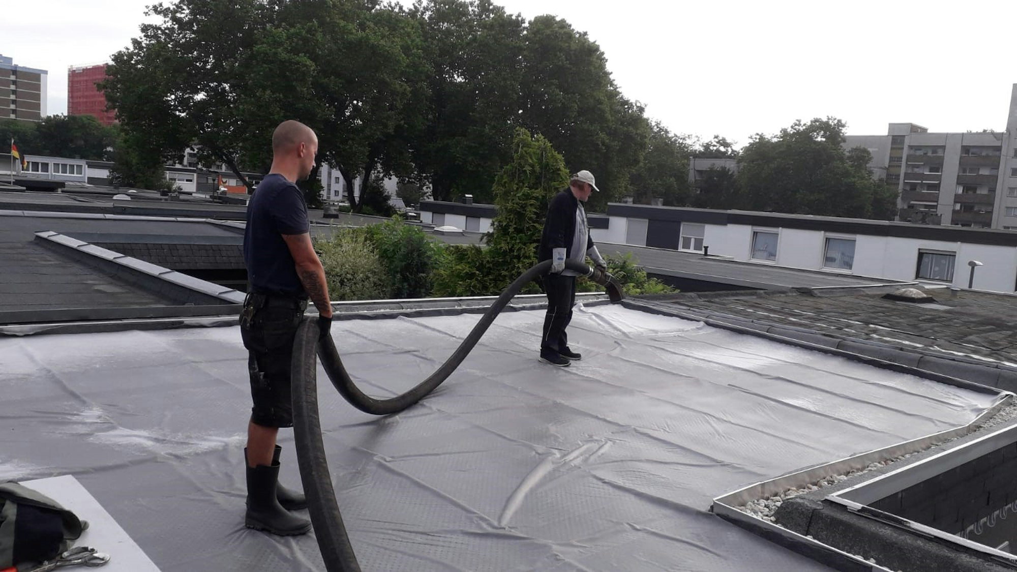 roes-boc-dachgruen-002