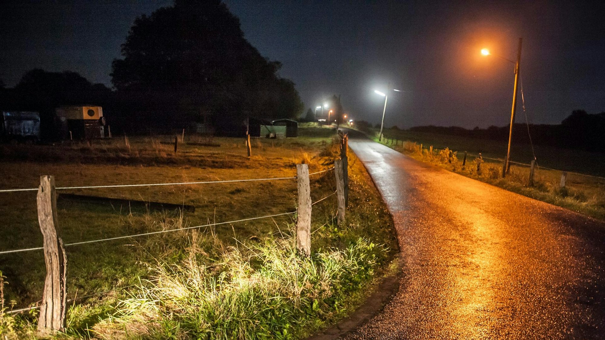 Straßenlampen leuchten nachts an einer kleinen Straße im ländlichen Bereich