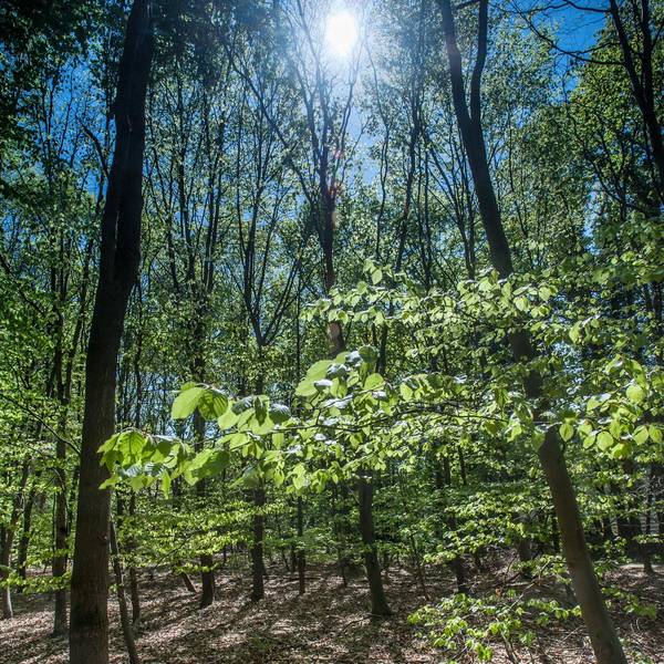 leverkusen-buergerbusch-_ALF_0615