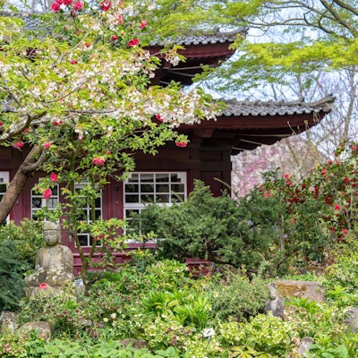 20220410-UWE-FruehlingParksLeverkusen-19_1