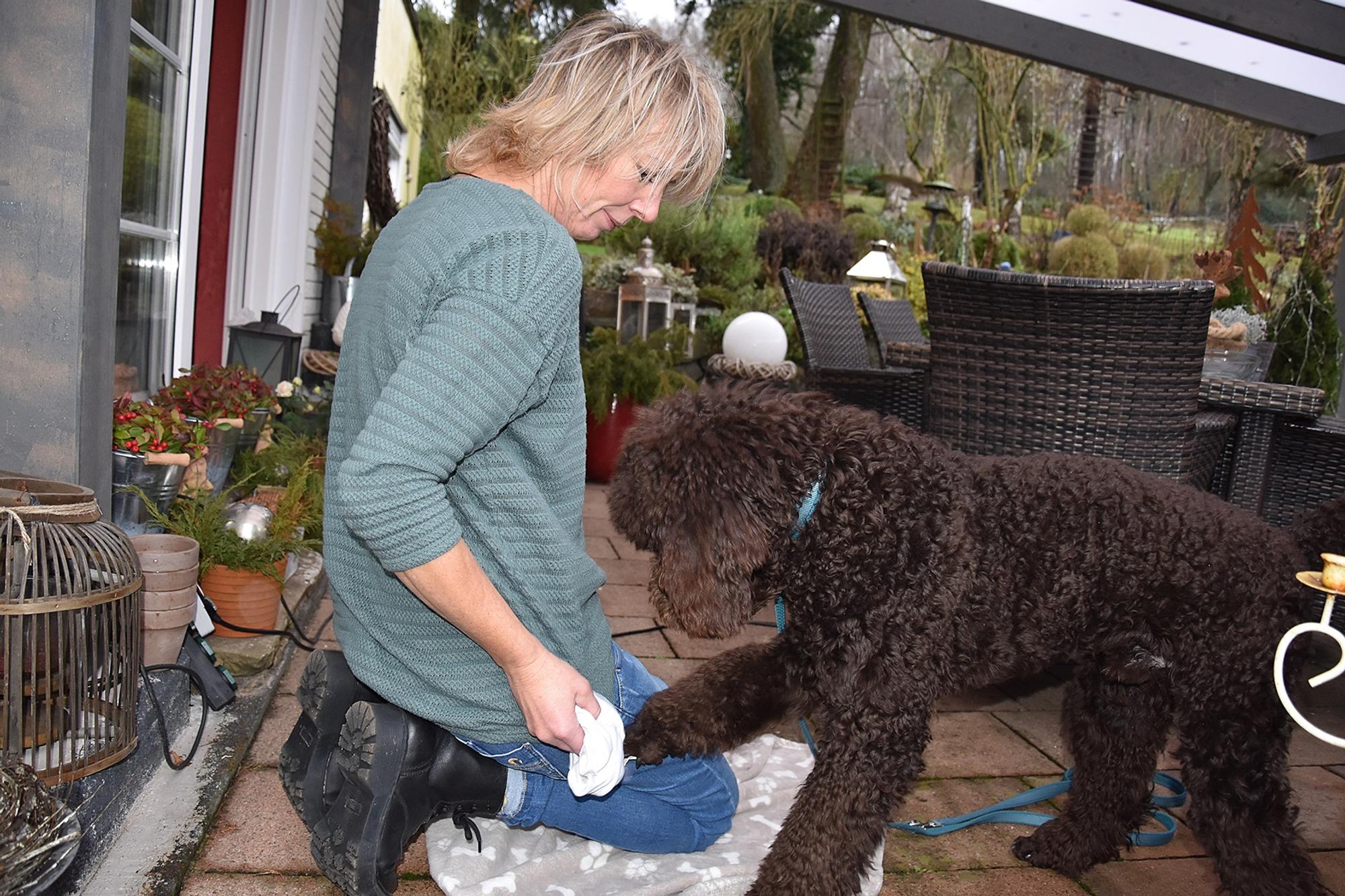 Diabetikerwarnhund1
