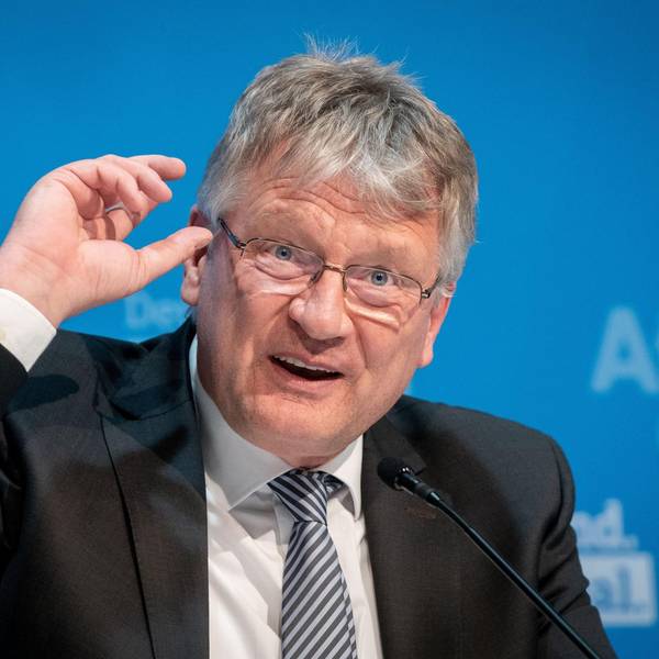 Meuthen AfD 280122