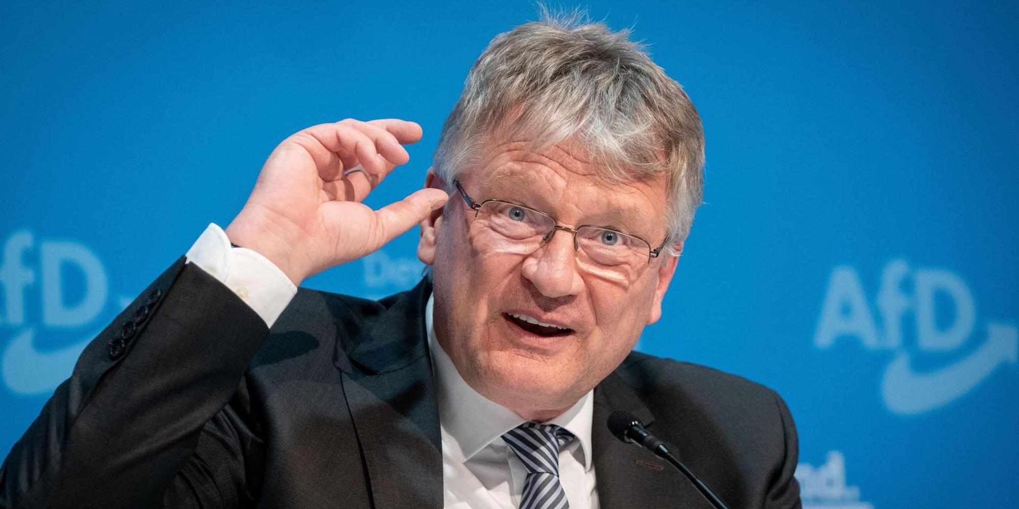Meuthen AfD 280122