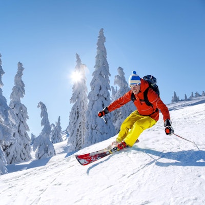 AdobeStock_222933081