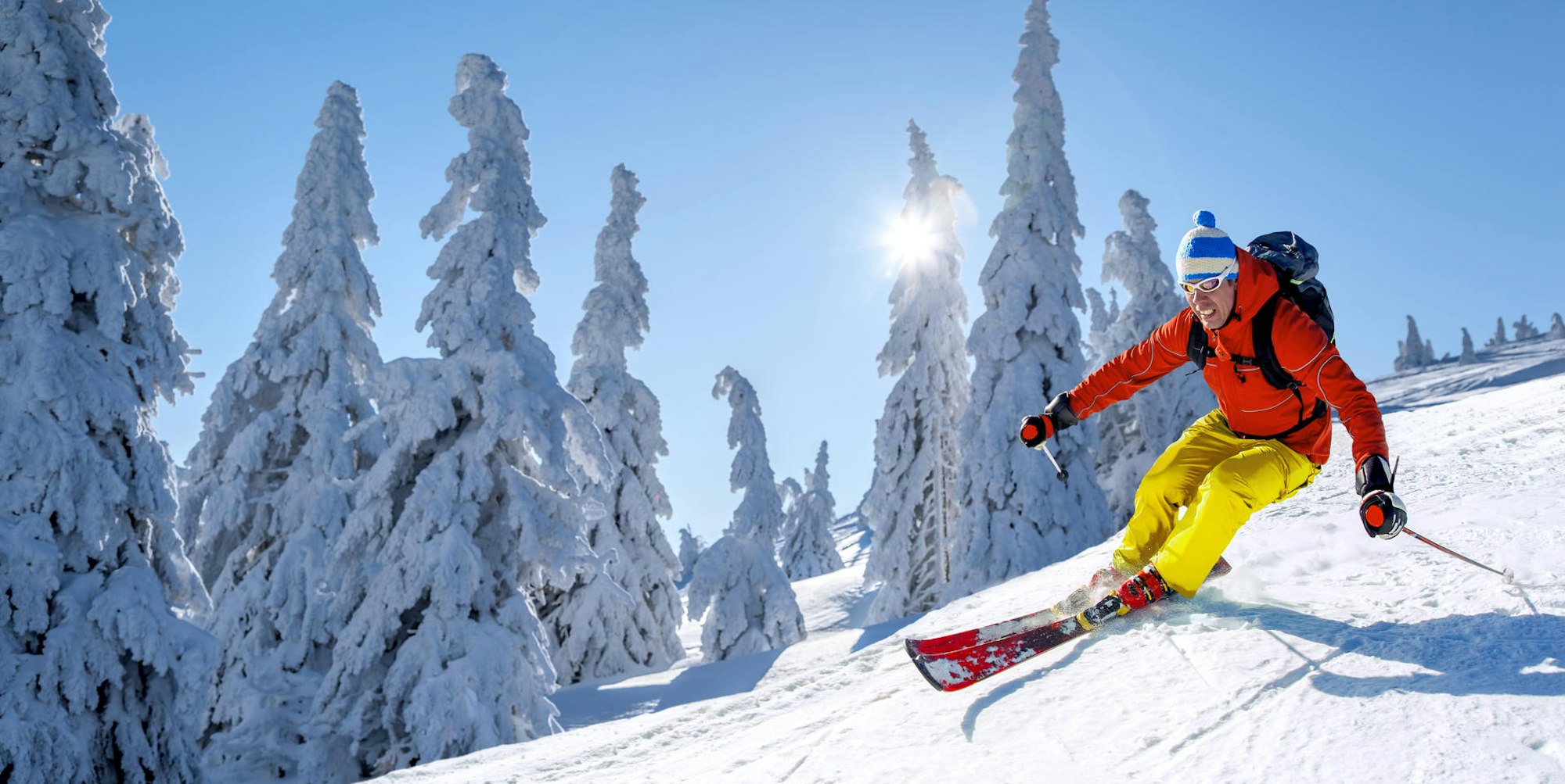 AdobeStock_222933081