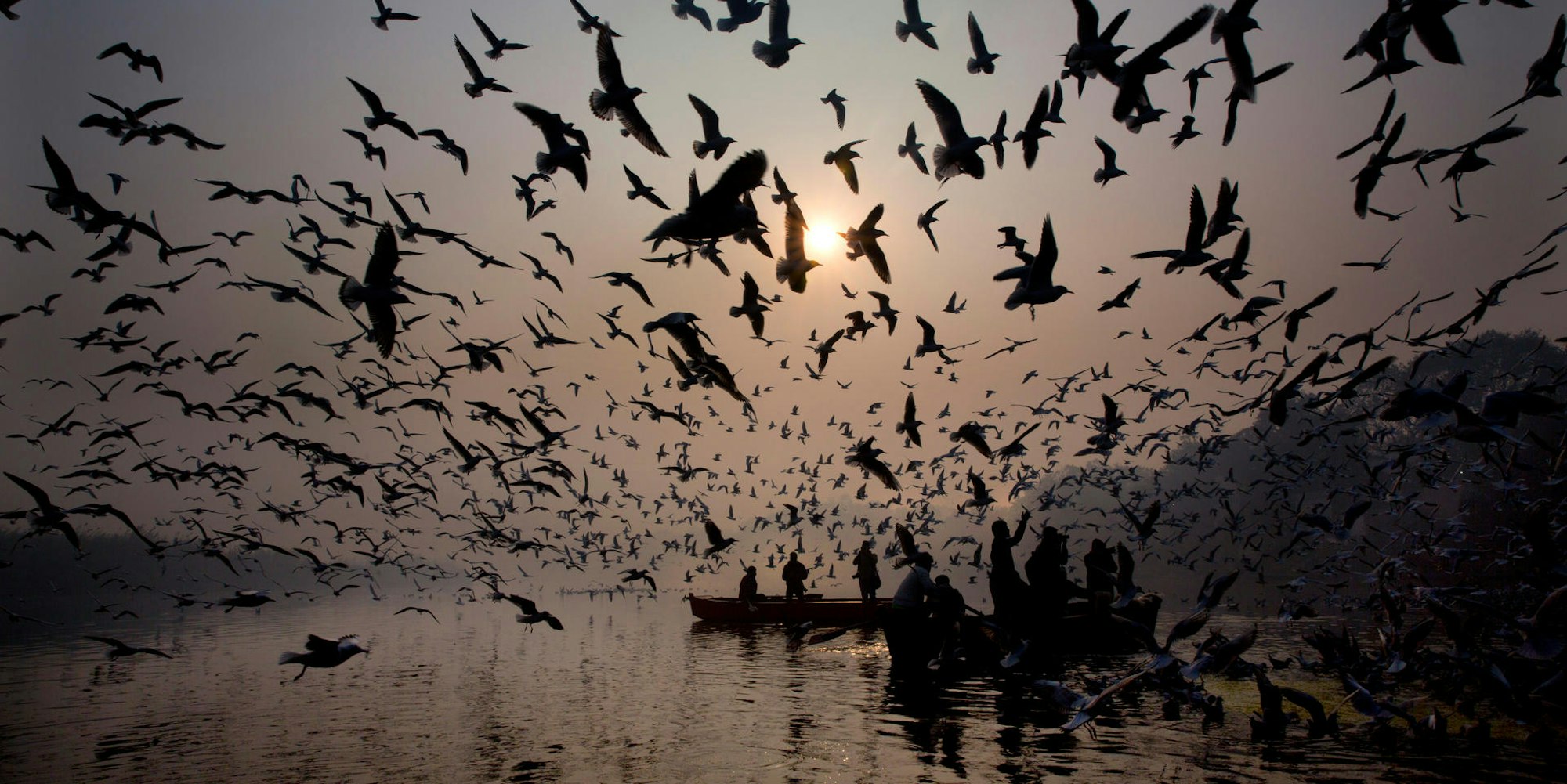 Indien