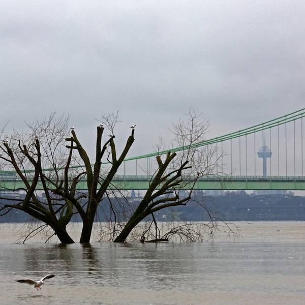 Rhein Hochwasser 070221 GOYERT