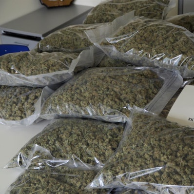 CannabisWindeck1 (1)