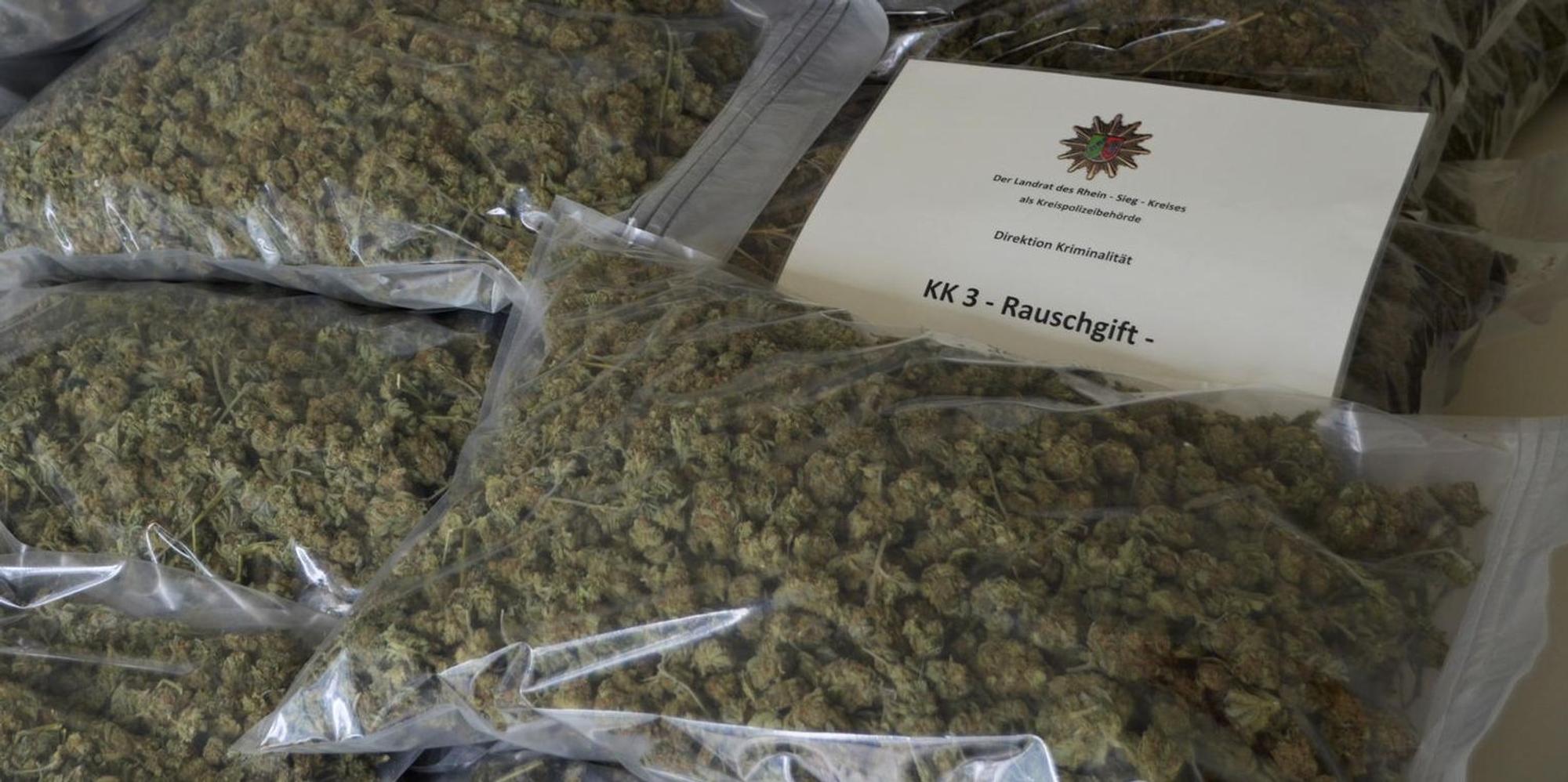 CannabisWindeck1 (1)