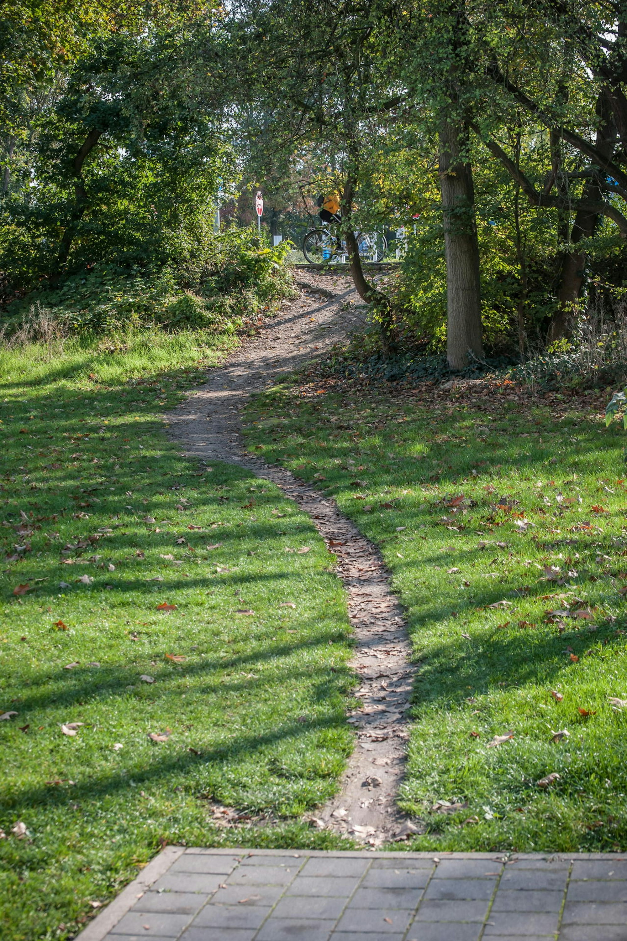 trampelpfad-karlkrekeler-willy-brandtin-leverkusen_ALF_1