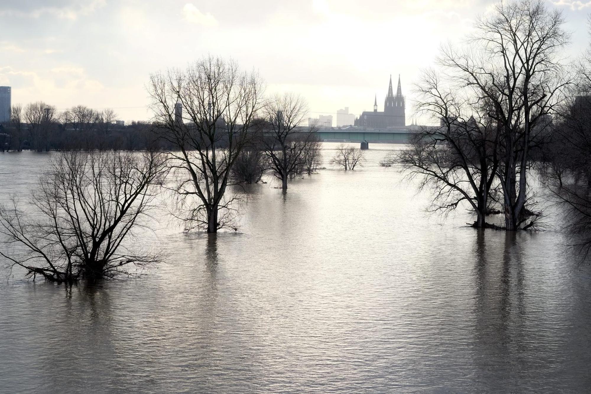 Hochwasser Bild