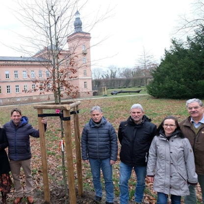 MDS-KSTA-2020-02-29-71-158605322