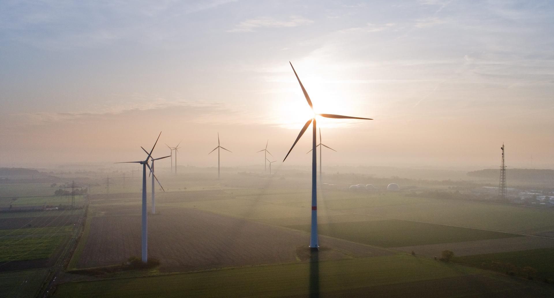 Windräder dpa