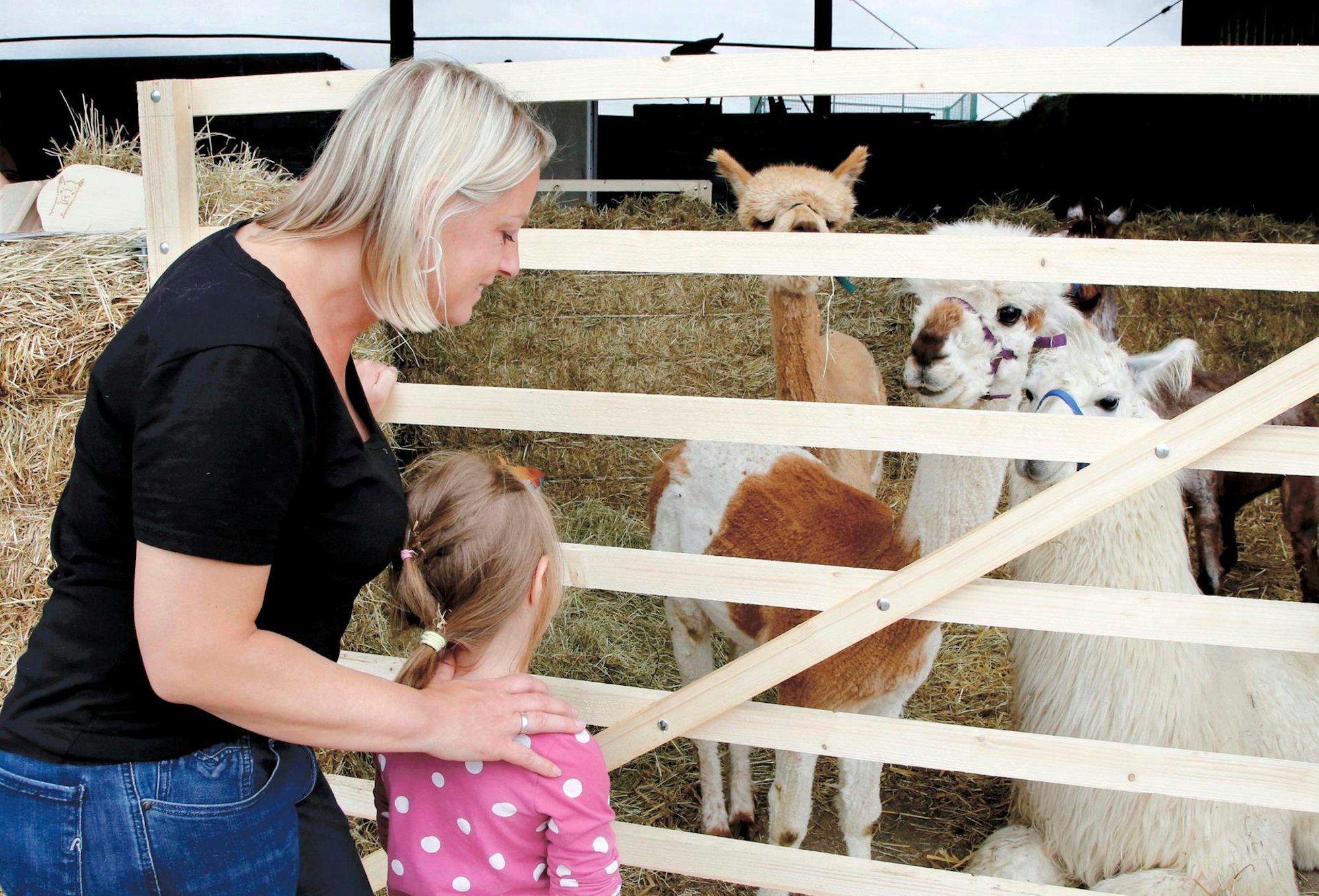20220606_MW_Dreamband Hof Fest Boddenberg 08