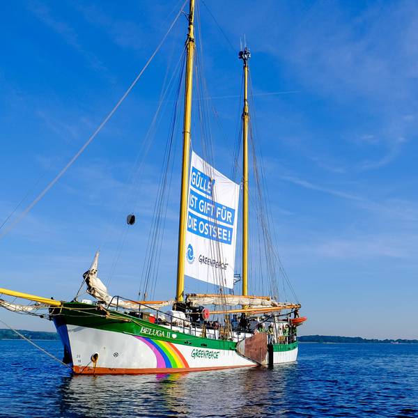 Schiff Greenpeace