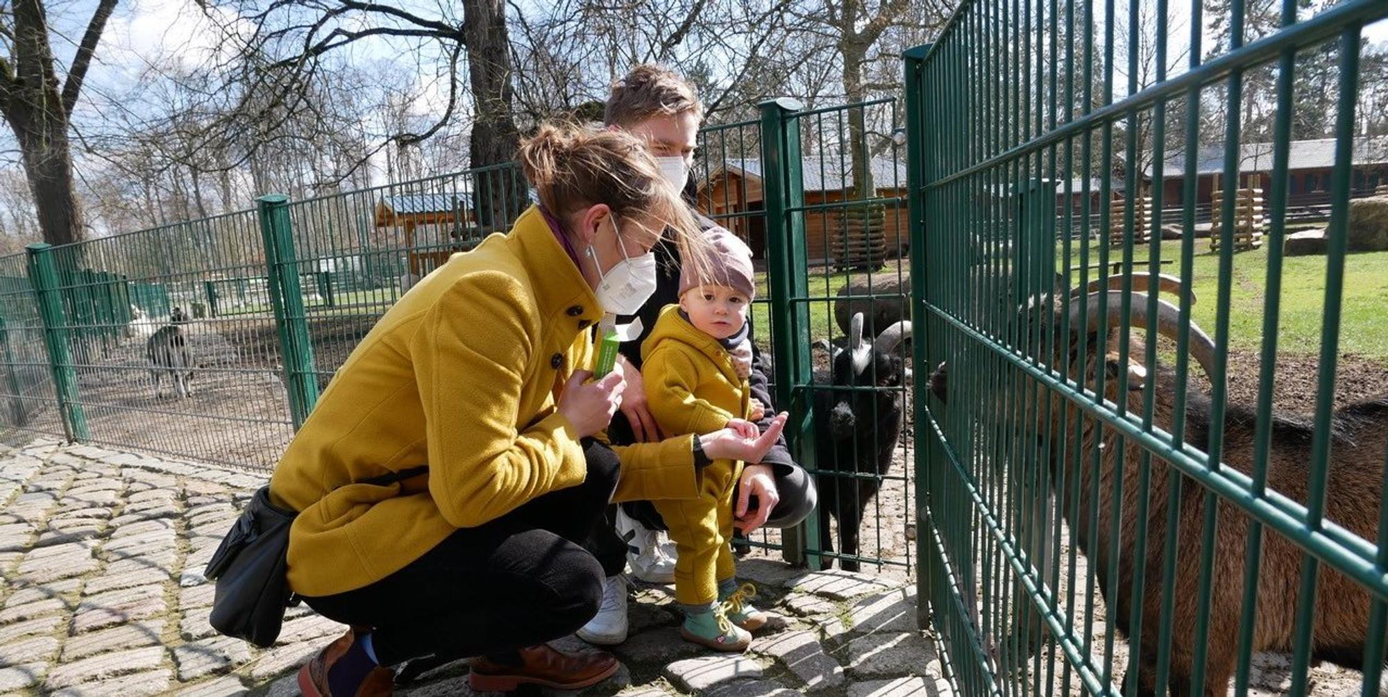 Tierpark1