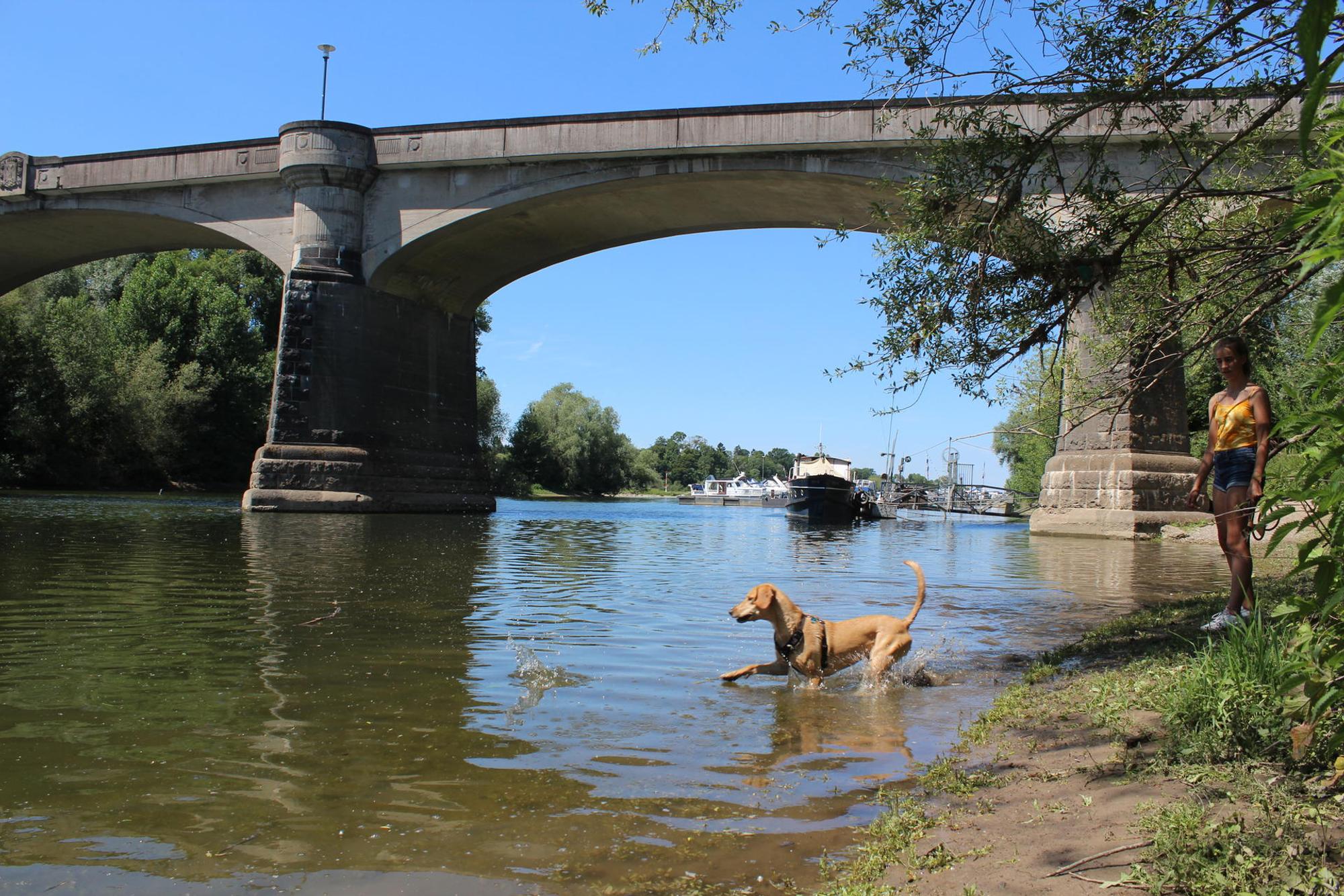 Brücke Grafenwerth_rei