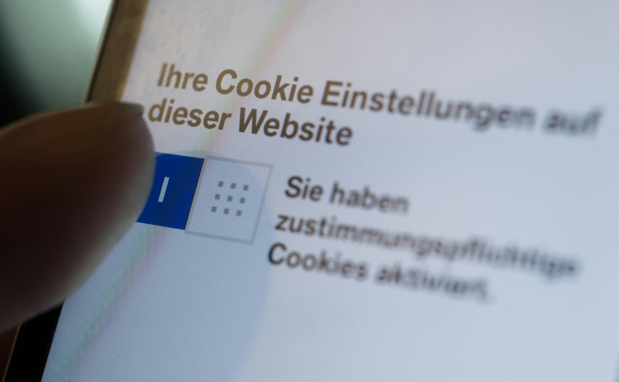 Webcam_Spione_und_Ma_54125662 (2)