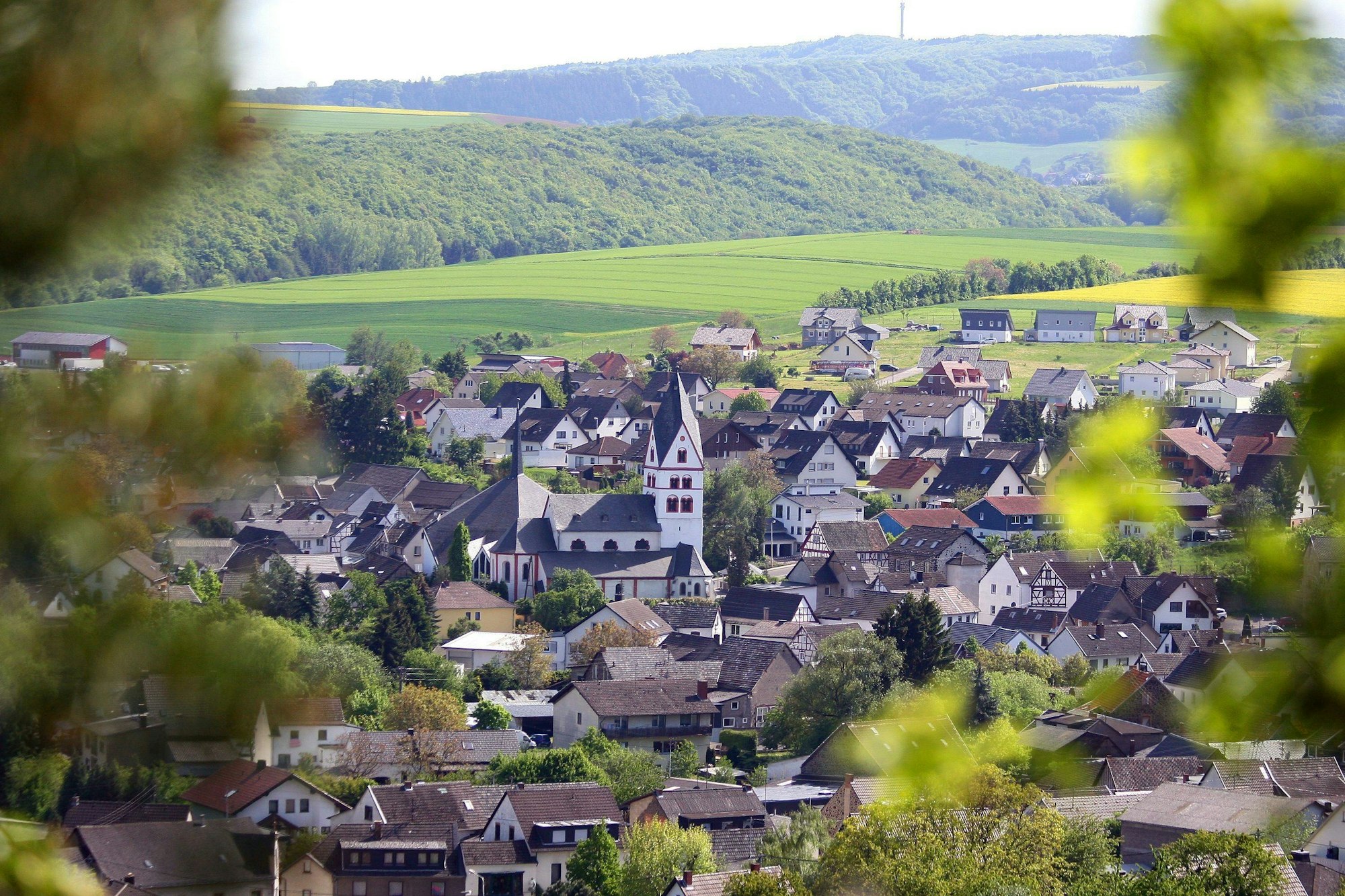 Niderzissen Eifel imagoManngold